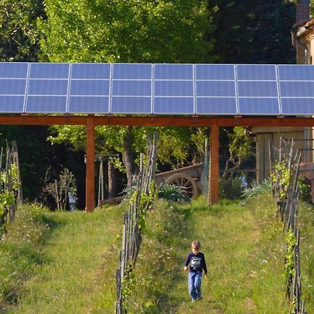 Вилла Agriturismo Le Volpaie Сан-Джиминьяно Экстерьер фото